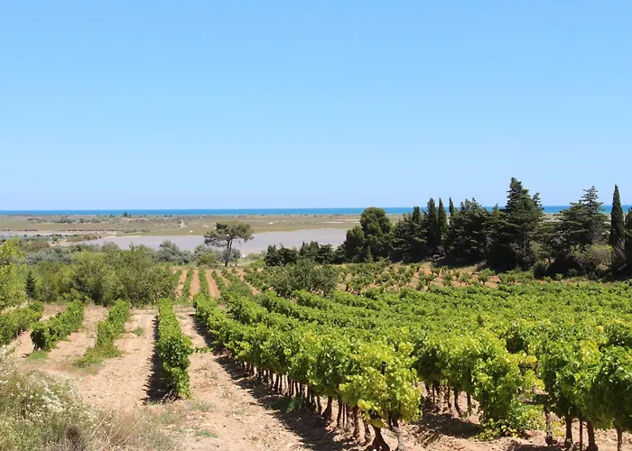 דירה Les Hauts De St Pierre By Interhome Saint-Pierre-la-Mer (Aude)